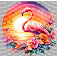 Animal Integration-DW 1553